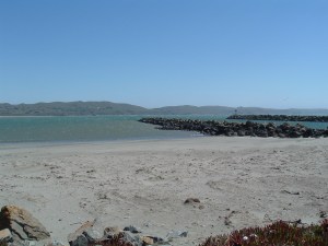 This is where the walk began, at the edge of the Pacific Ocean outside of Bodega Bay, California.