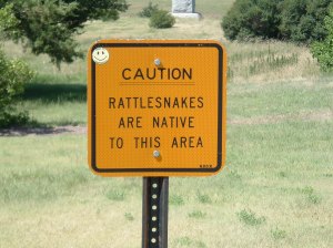 Rattlesnakes