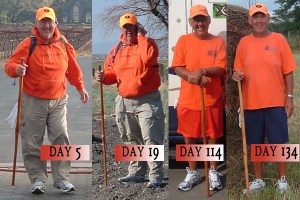 Walking Stick Shrinkage