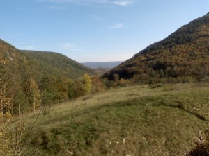 Pennsylvania Mountains